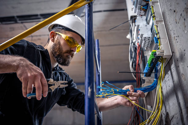 Best Home Electrical Repair  in Colona, IL